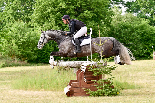 SH-Landeschampionat  der 6 j. Geländepferde  Kl L | 090621 - SH Landeschamp GPF L_146 