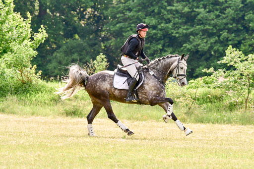 SH-Landeschampionat  der 6 j. Geländepferde  Kl L | 090621 - SH Landeschamp GPF L_148 