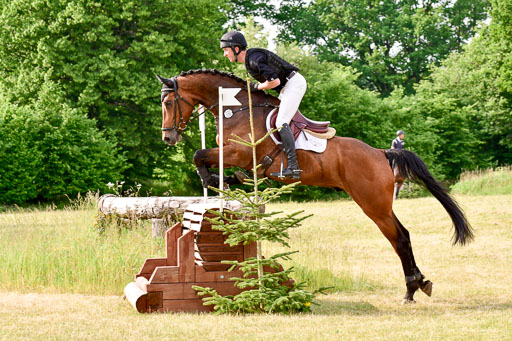 SH-Landeschampionat  der 6 j. Geländepferde  Kl L | 090621 - SH Landeschamp GPF L_174 