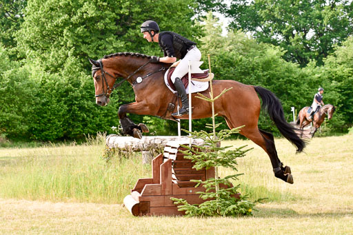 SH-Landeschampionat  der 6 j. Geländepferde  Kl L | 090621 - SH Landeschamp GPF L_175 