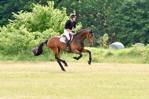 SH-Landeschampionat  der 6 j. Geländepferde  Kl L | 090621 - SH Landeschamp GPF L_176 