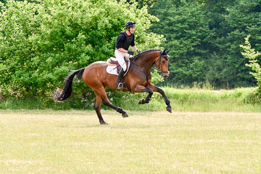 SH-Landeschampionat  der 6 j. Geländepferde  Kl L | 090621 - SH Landeschamp GPF L_178 