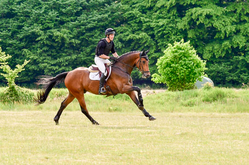 SH-Landeschampionat  der 6 j. Geländepferde  Kl L | 090621 - SH Landeschamp GPF L_181 