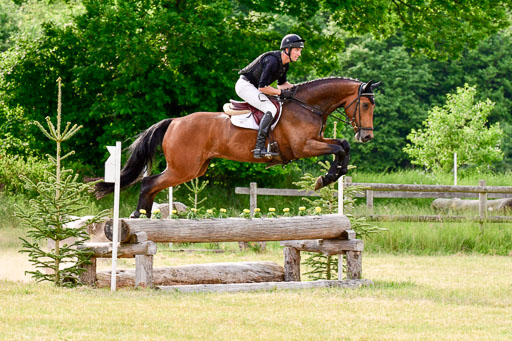 SH-Landeschampionat  der 6 j. Geländepferde  Kl L | 090621 - SH Landeschamp GPF L_184 