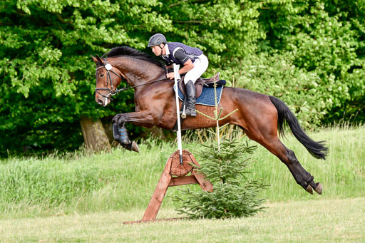 SH-Landeschampionat  der 6 j. Geländepferde  Kl L | 090621 - SH Landeschamp GPF L_188 