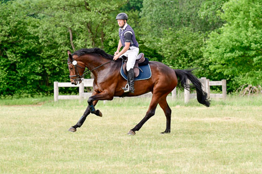 SH-Landeschampionat  der 6 j. Geländepferde  Kl L | 090621 - SH Landeschamp GPF L_189 