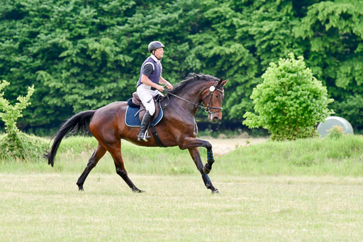 SH-Landeschampionat  der 6 j. Geländepferde  Kl L | 090621 - SH Landeschamp GPF L_194 