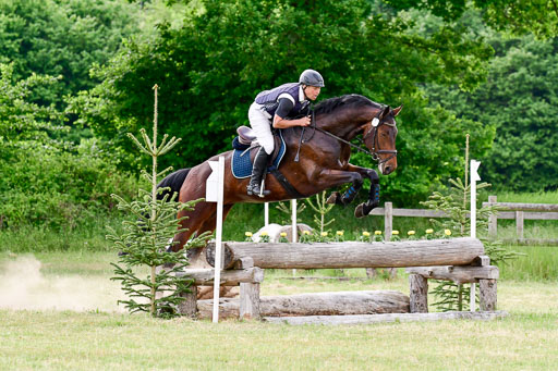 SH-Landeschampionat  der 6 j. Geländepferde  Kl L | 090621 - SH Landeschamp GPF L_196 