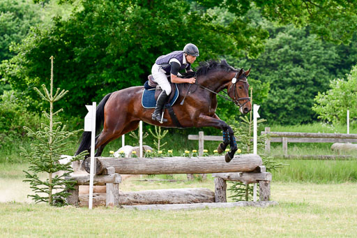 SH-Landeschampionat  der 6 j. Geländepferde  Kl L | 090621 - SH Landeschamp GPF L_197 