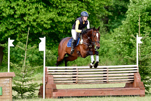 SH-Landeschampionat  der 6 j. Geländepferde  Kl L | 090621 - SH Landeschamp GPF L_199 