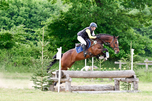 SH-Landeschampionat  der 6 j. Geländepferde  Kl L | 090621 - SH Landeschamp GPF L_205 