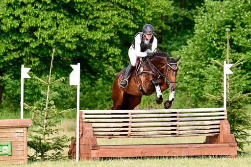 SH-Landeschampionat  der 6 j. Geländepferde  Kl L | 090621 - SH Landeschamp GPF L_208 