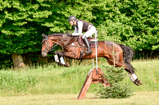 SH-Landeschampionat  der 6 j. Geländepferde  Kl L | 090621 - SH Landeschamp GPF L_211 