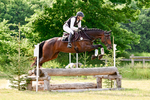 SH-Landeschampionat  der 6 j. Geländepferde  Kl L | 090621 - SH Landeschamp GPF L_214 