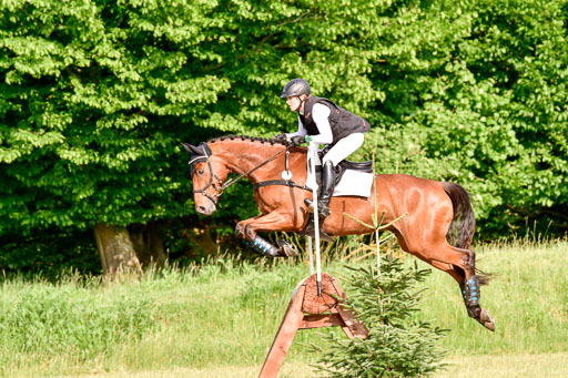 SH-Landeschampionat  der 6 j. Geländepferde  Kl L | 090621 - SH Landeschamp GPF L_216 