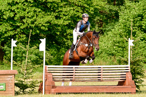 SH-Landeschampionat  der 6 j. Geländepferde  Kl L | 090621 - SH Landeschamp GPF L_228 