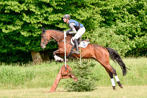 SH-Landeschampionat  der 6 j. Geländepferde  Kl L | 090621 - SH Landeschamp GPF L_230 