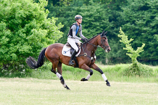 SH-Landeschampionat  der 6 j. Geländepferde  Kl L | 090621 - SH Landeschamp GPF L_236 