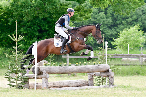 SH-Landeschampionat  der 6 j. Geländepferde  Kl L | 090621 - SH Landeschamp GPF L_238 