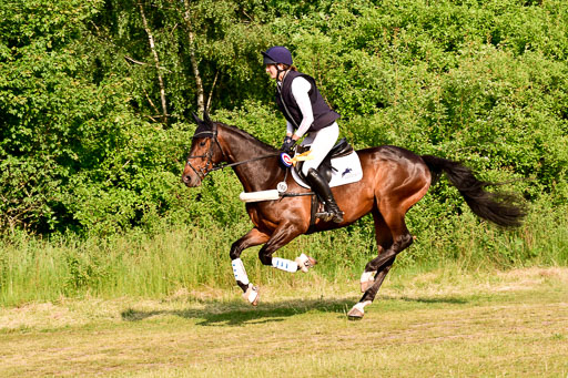 SH-Landeschampionat  der 6 j. Geländepferde  Kl L | 090621 - SH Landeschamp GPF L_253 