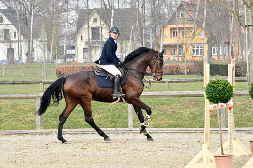  | 24032022-Springpferde A_18 