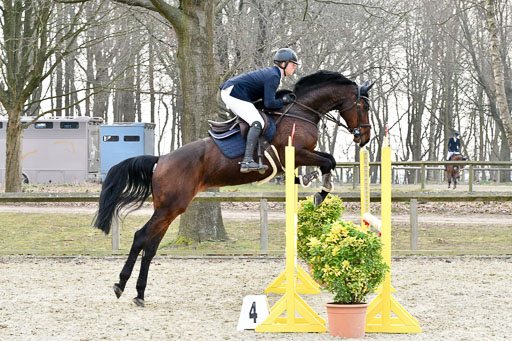  | 24032022-Springpferde A_19 