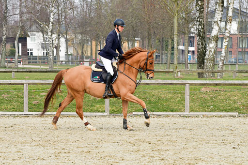  | 24032022-Springpferde A_27 