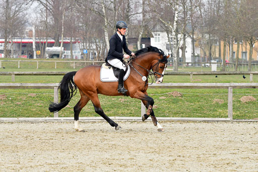  | 24032022-Springpferde A_56 