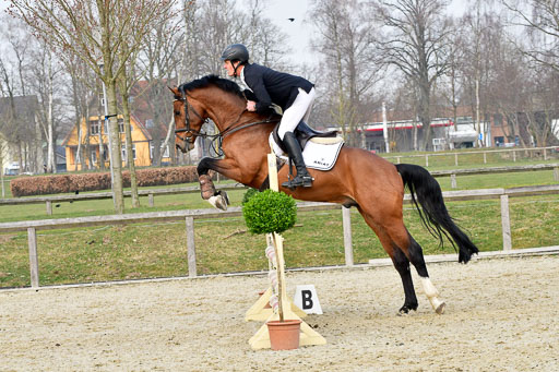  | 24032022-Springpferde A_62 