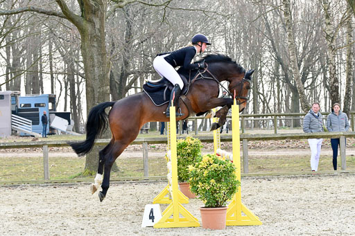  | 24032022-Springpferde A_66 