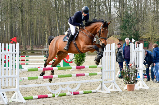  | 24032022-Springpferde A_71 