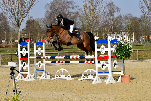  | 24032022-Springpferde L_028 