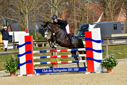  | 24032022-Springpferde L_037 