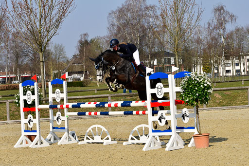  | 24032022-Springpferde L_038 