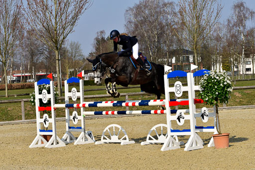  | 24032022-Springpferde L_039 