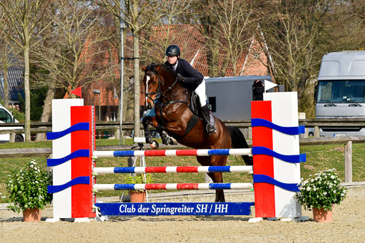  | 24032022-Springpferde L_044 