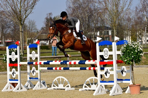  | 24032022-Springpferde L_053 