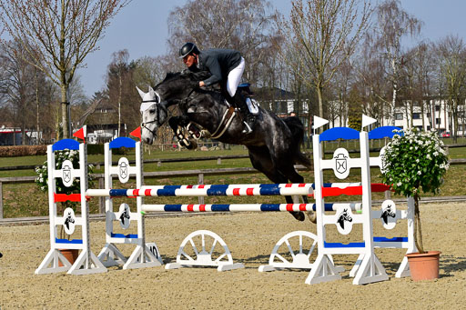  | 24032022-Springpferde L_116 