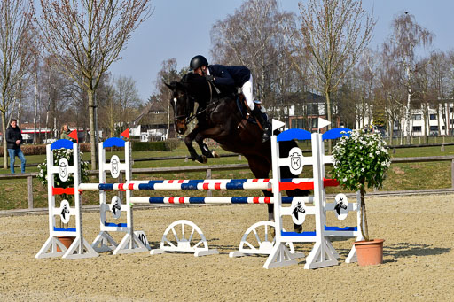  | 24032022-Springpferde L_121 