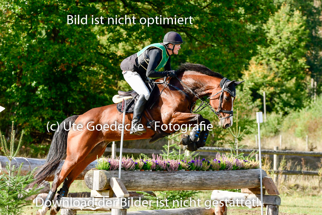 Bad Segeberg 09.10.2022 | 09102022 - XC CCI++ _009