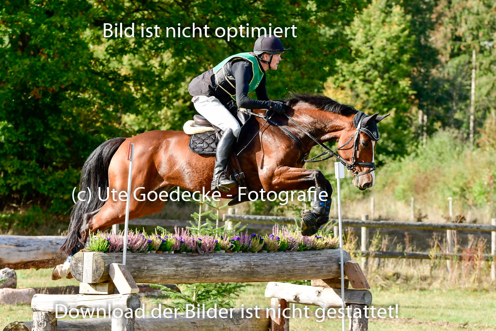 Bad Segeberg 09.10.2022 | 09102022 - XC CCI++ _010