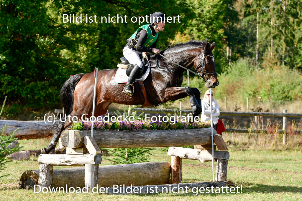 Bad Segeberg 09.10.2022 | 09102022 - XC CCI++ _012