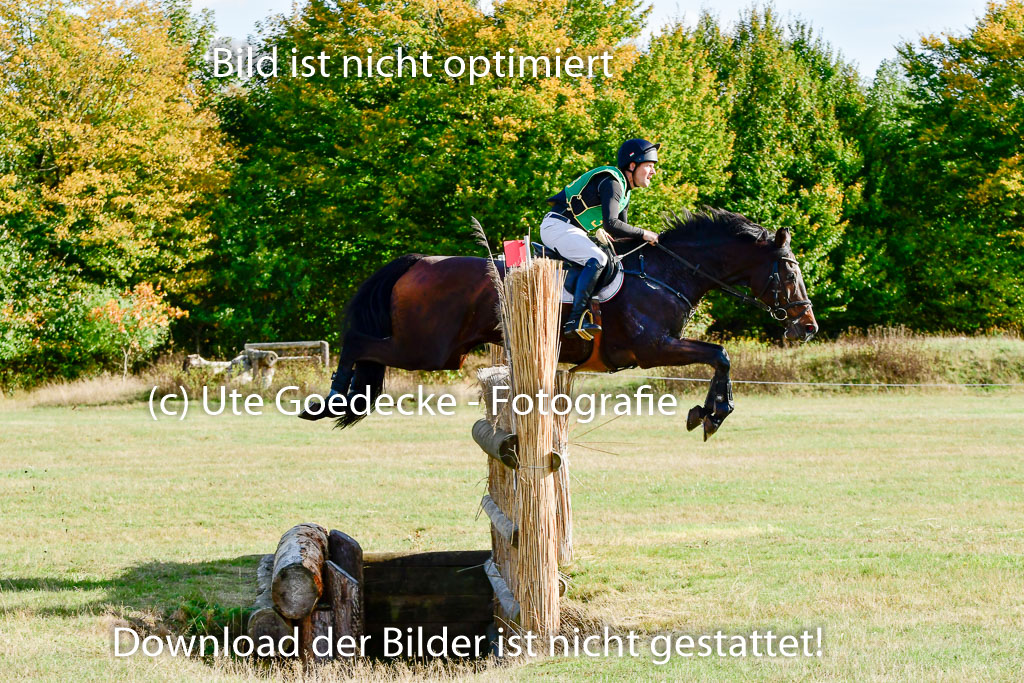 Bad Segeberg 09.10.2022 | 09102022 - XC CCI++ _018