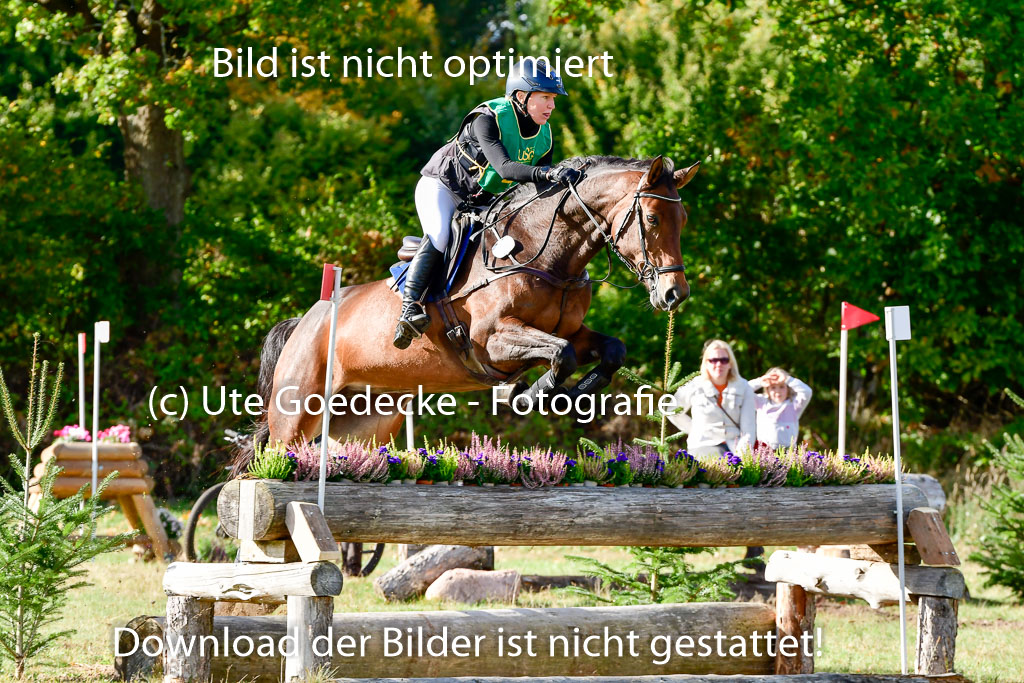 Bad Segeberg 09.10.2022 | 09102022 - XC CCI++ _020