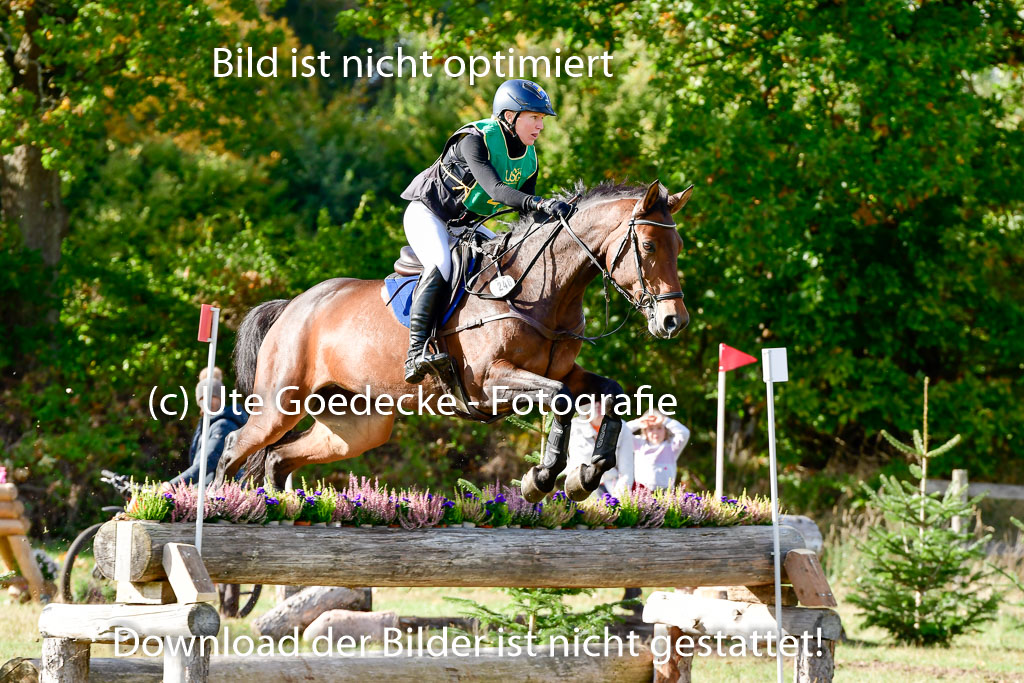 Bad Segeberg 09.10.2022 | 09102022 - XC CCI++ _021