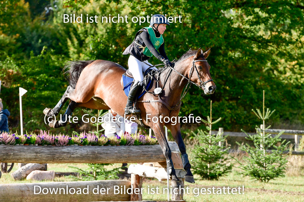 Bad Segeberg 09.10.2022 | 09102022 - XC CCI++ _022