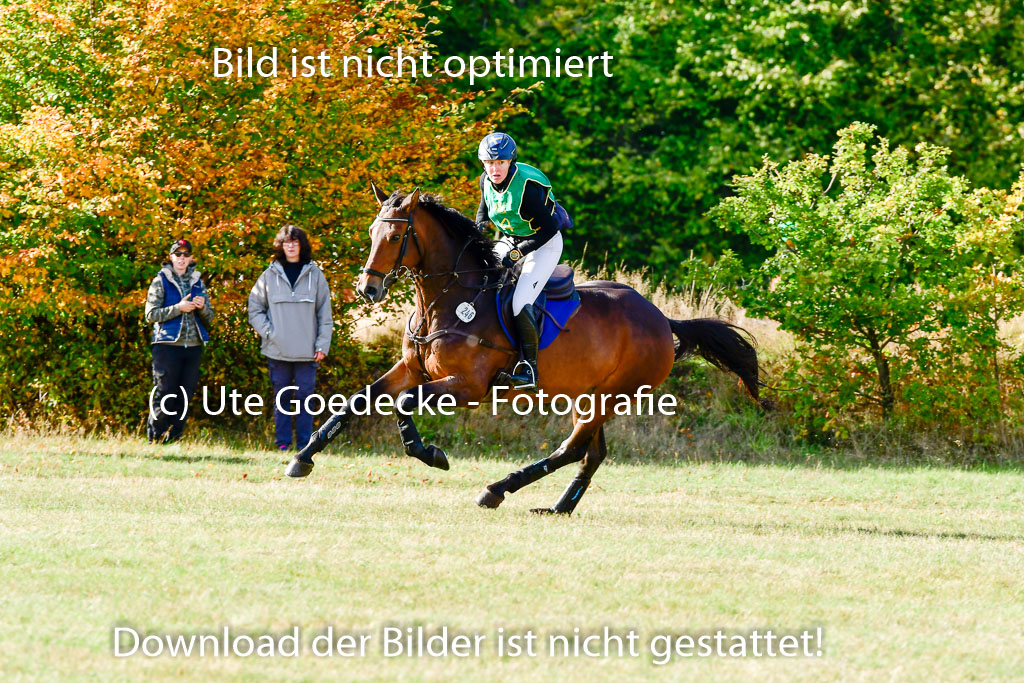 Bad Segeberg 09.10.2022 | 09102022 - XC CCI++ _025