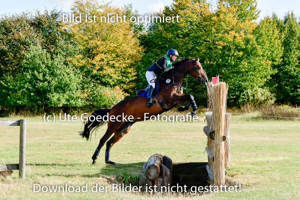 Bad Segeberg 09.10.2022 | 09102022 - XC CCI++ _027
