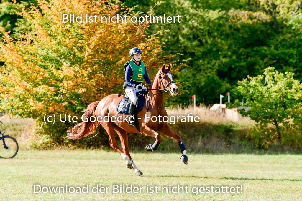 Bad Segeberg 09.10.2022 | 09102022 - XC CCI++ _030
