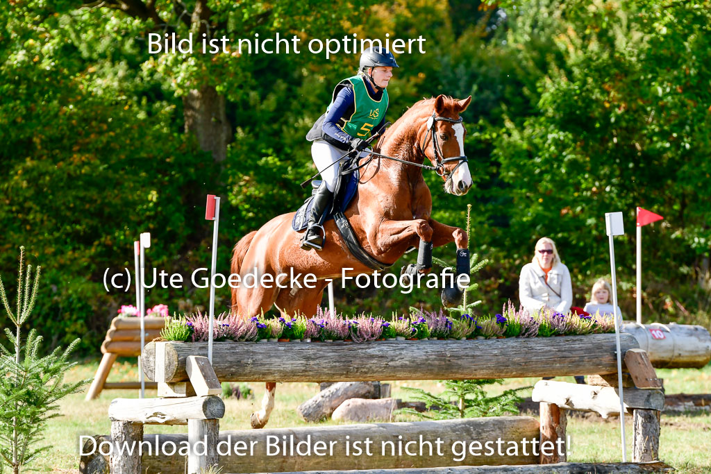 Bad Segeberg 09.10.2022 | 09102022 - XC CCI++ _031